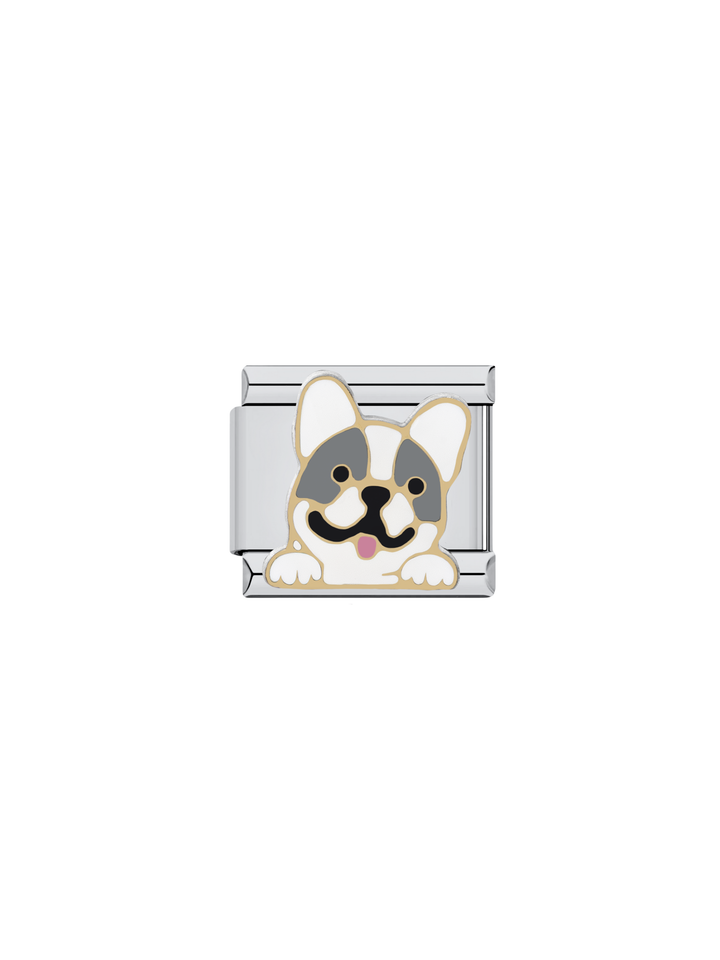 Charm Bull Dog