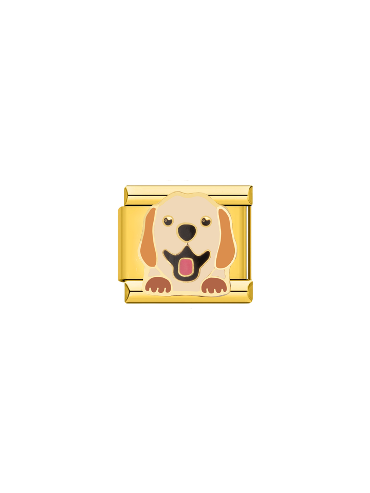 Charm Perro Golden