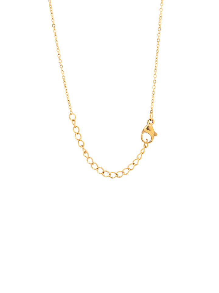 Collar Con Dije Contorno Corazon Zirconias