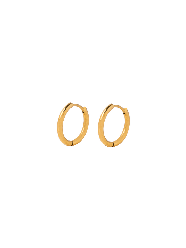 Par Arracada Con Dije Pez 2 en 1