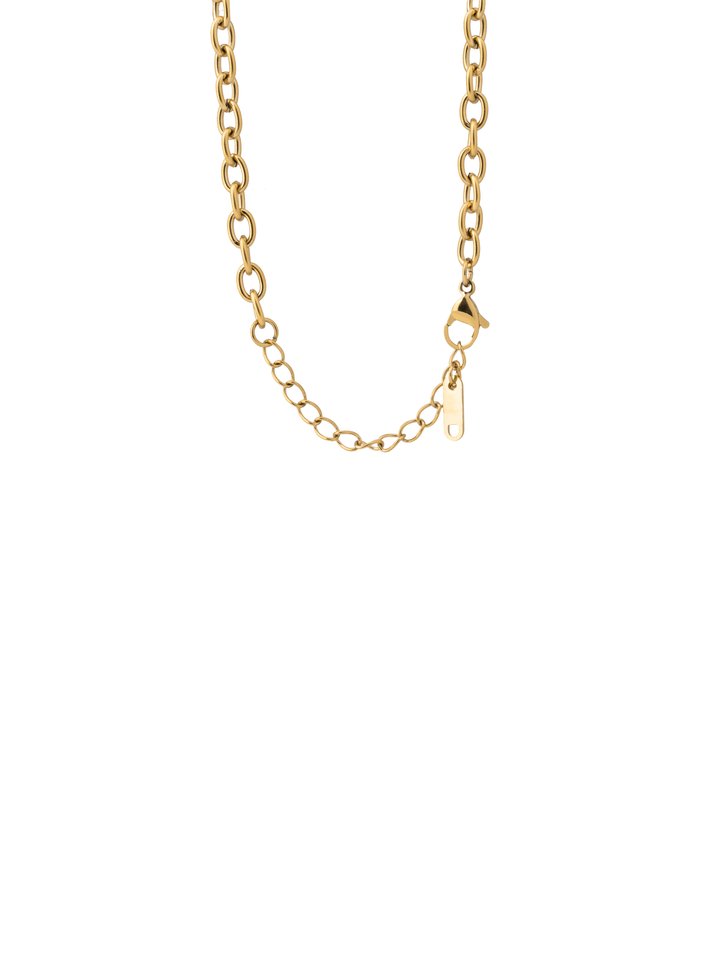 Collar Largo Con Dije Moneda