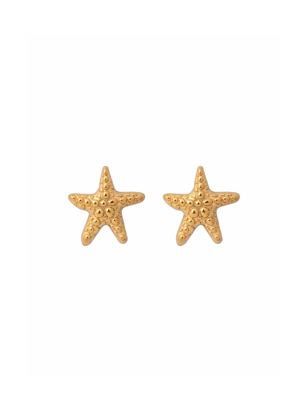 Par Arete Estrella De Mar Con Textura