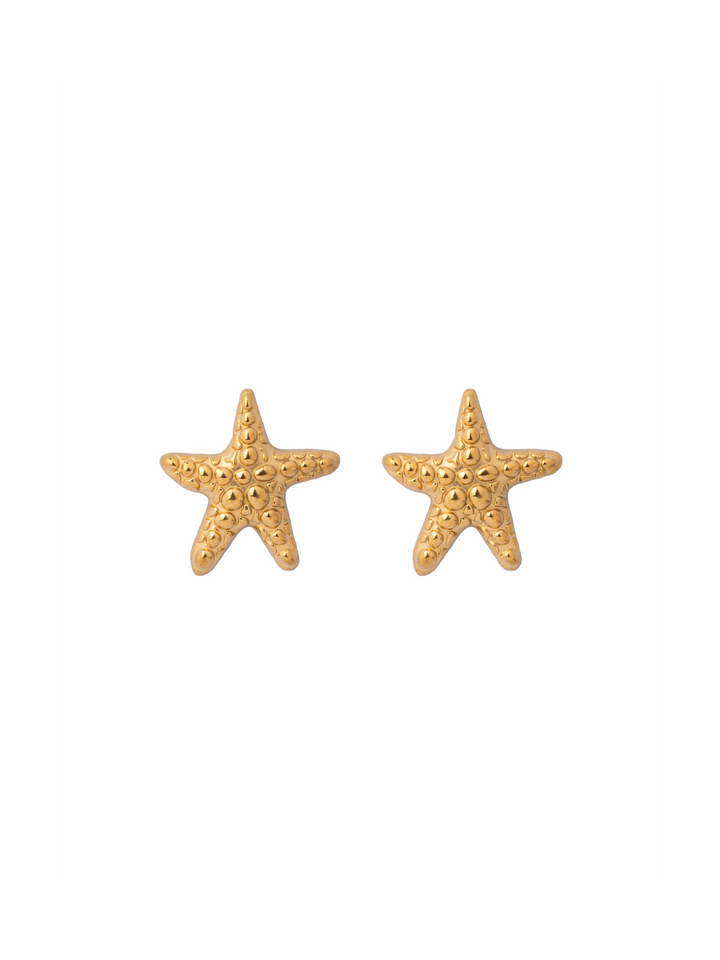 Par Arete Estrella De Mar Con Textura