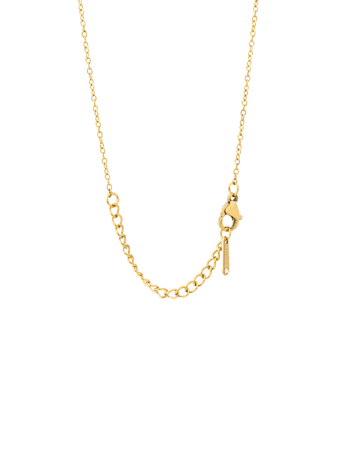 Collar Con Contorno Corazon Zirconias