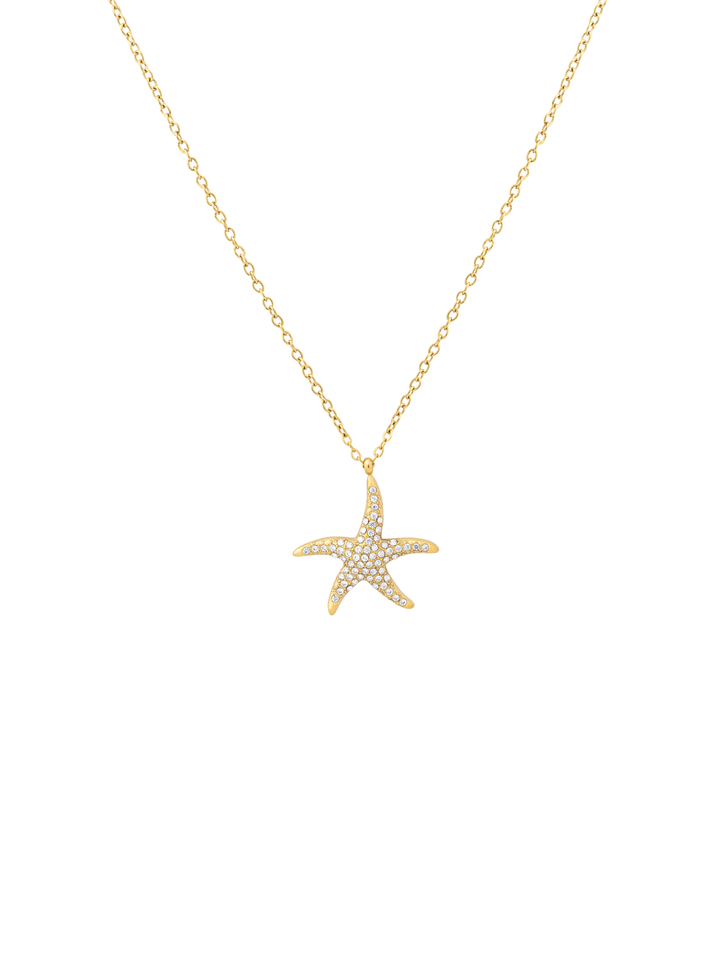 Collar Dije Estrella De Mar Con Zirconias
