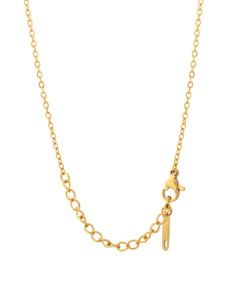 Collar Con Dije Doble Pez