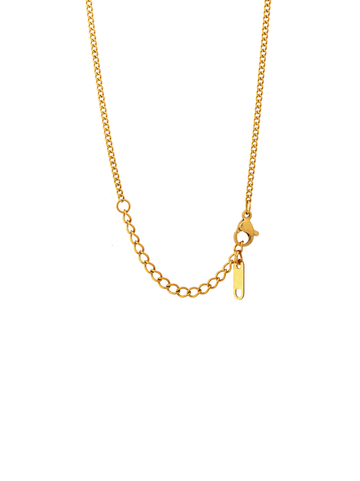 Collar Con Dije Pez