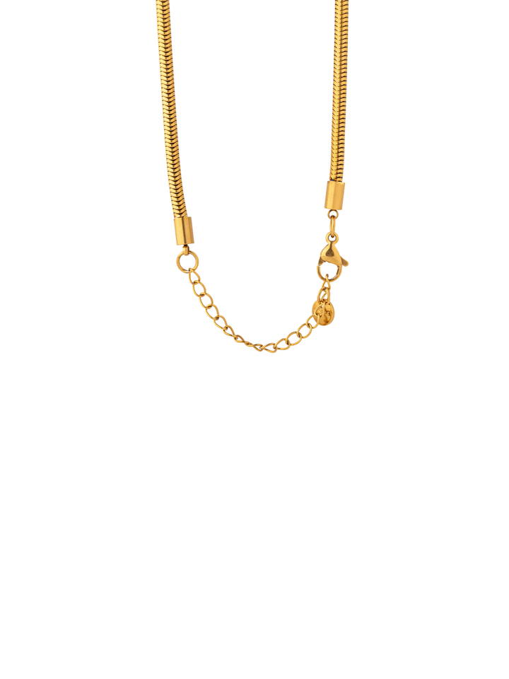 Collar Con Dije Ovalado Chunky
