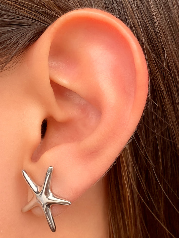 Par Arete Estrella de Mar Delgado