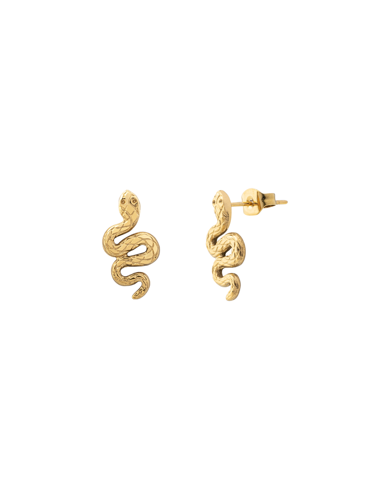 Par Arete Serpiente