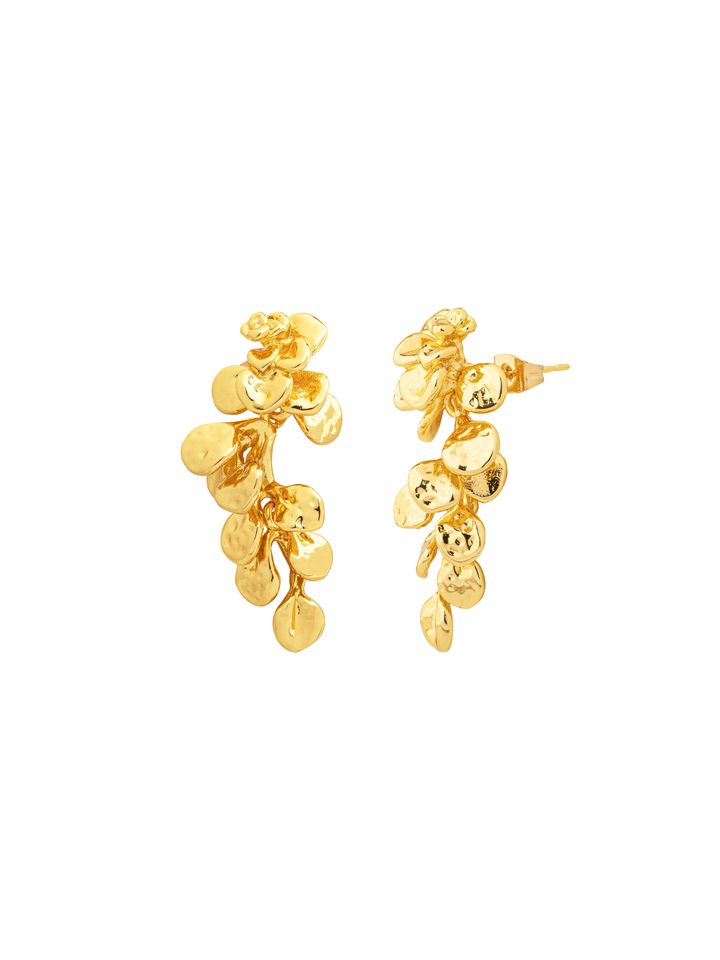 Par Arete Largo Hojas