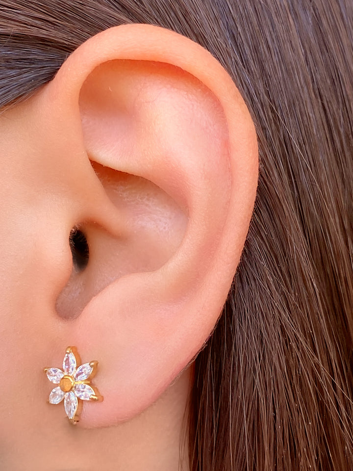 Par Arete Mini Flor Petalos Zirconias