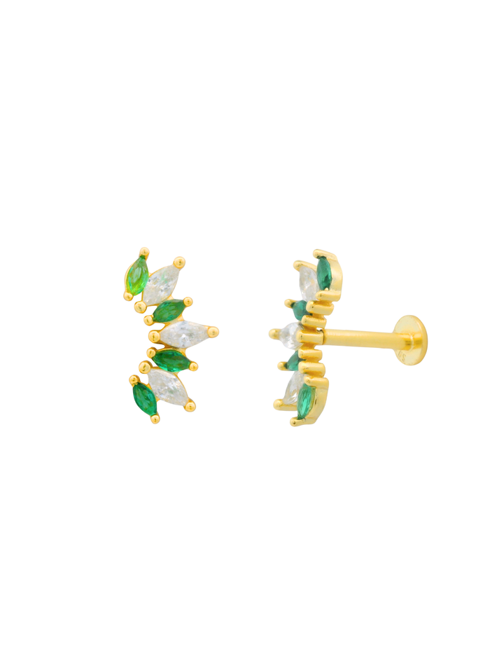 Broquel Zirconias Verdes