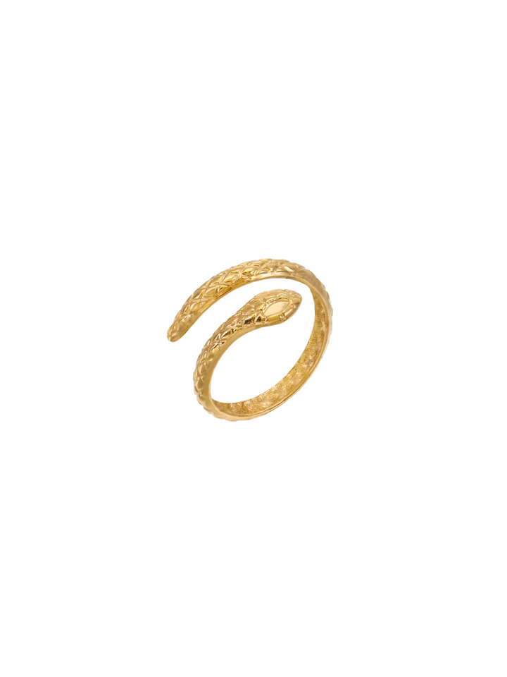 Anillo Serpiente Con Textura