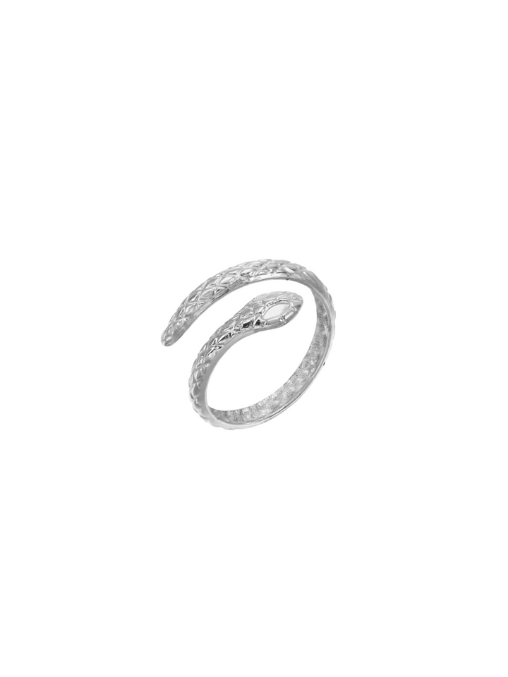 Anillo Serpiente Con Textura