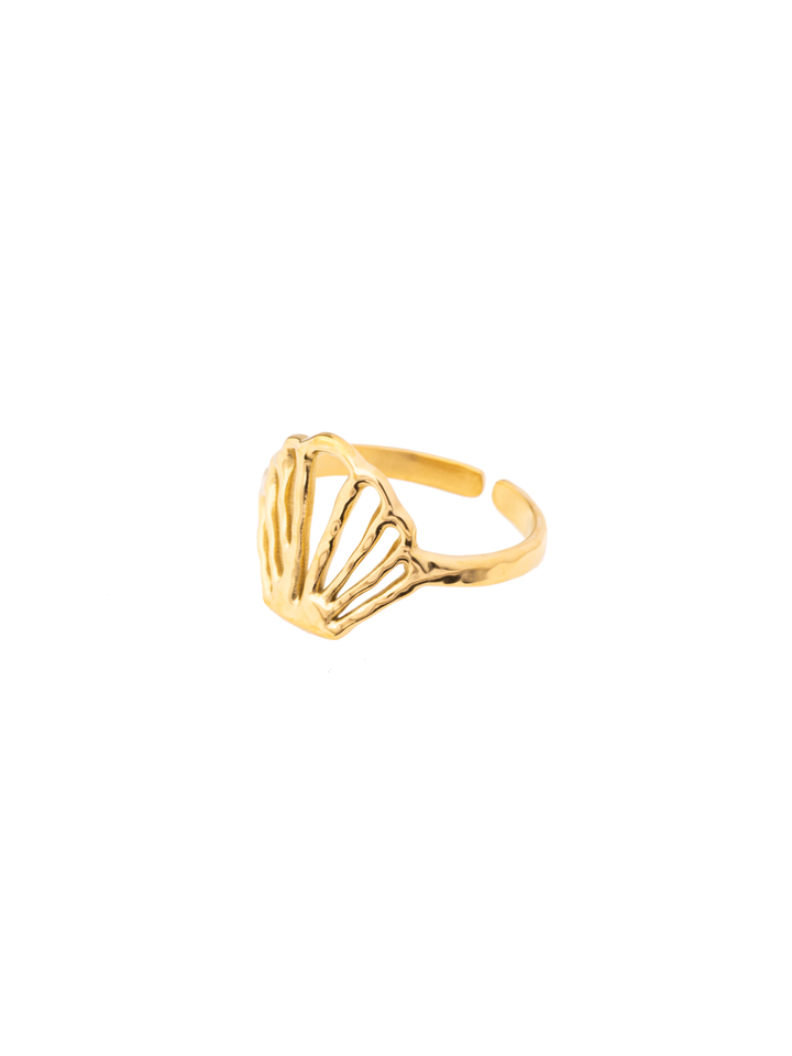 Anillo Concha Semi Ajustable