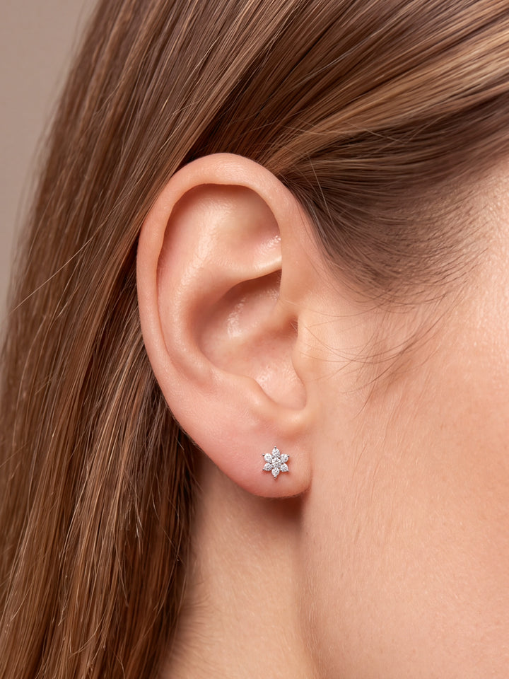 Par Arete Mini Flor Seis Petalos Zirconia