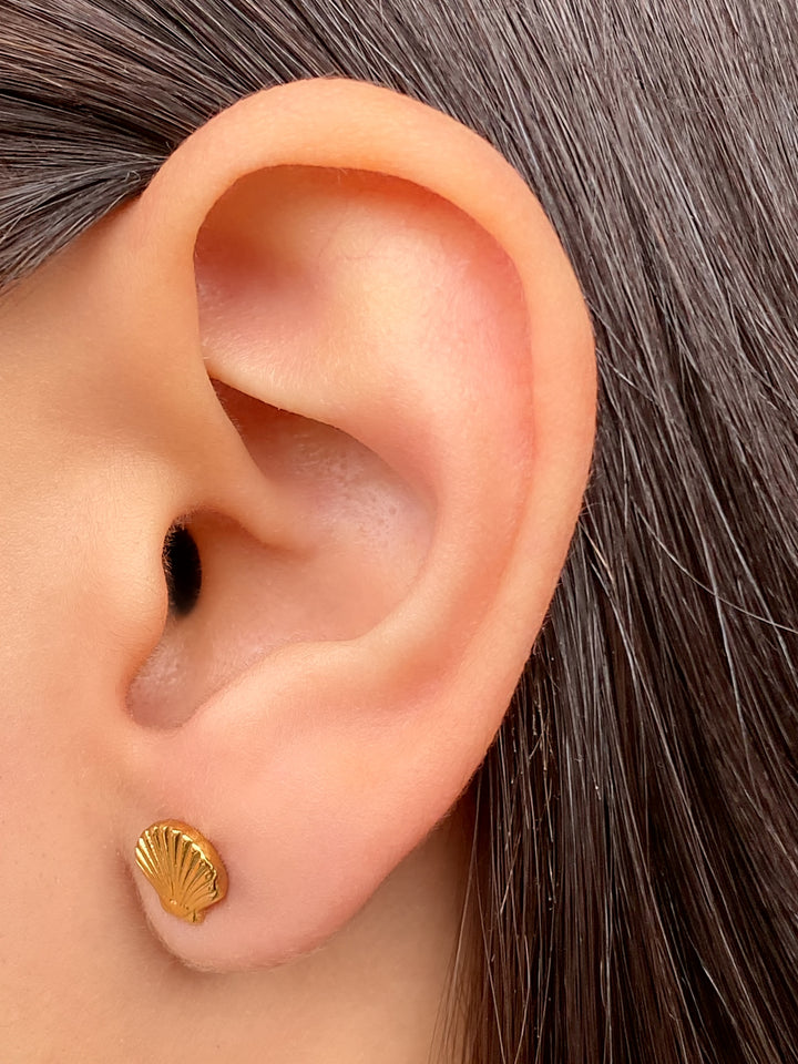 Par Arete Mini Concha