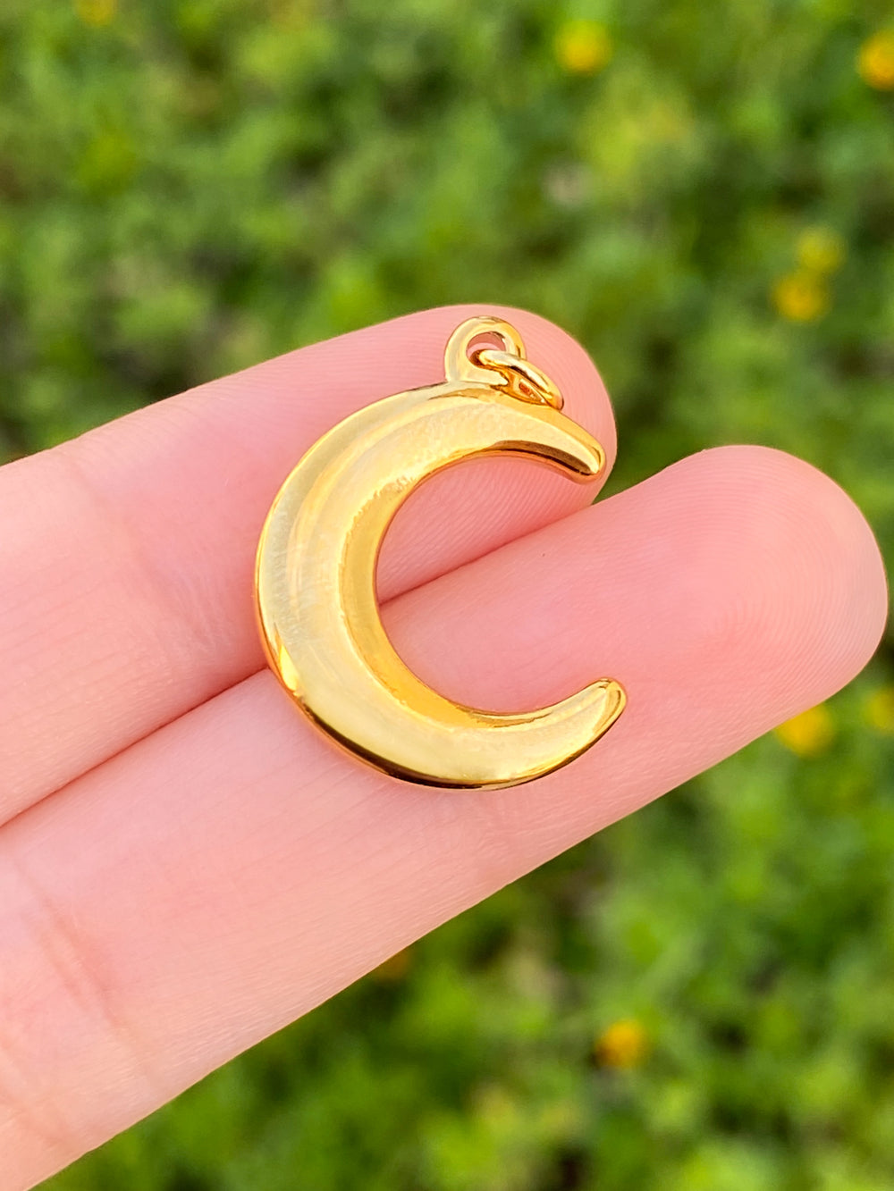 Dije Media Luna Lisa