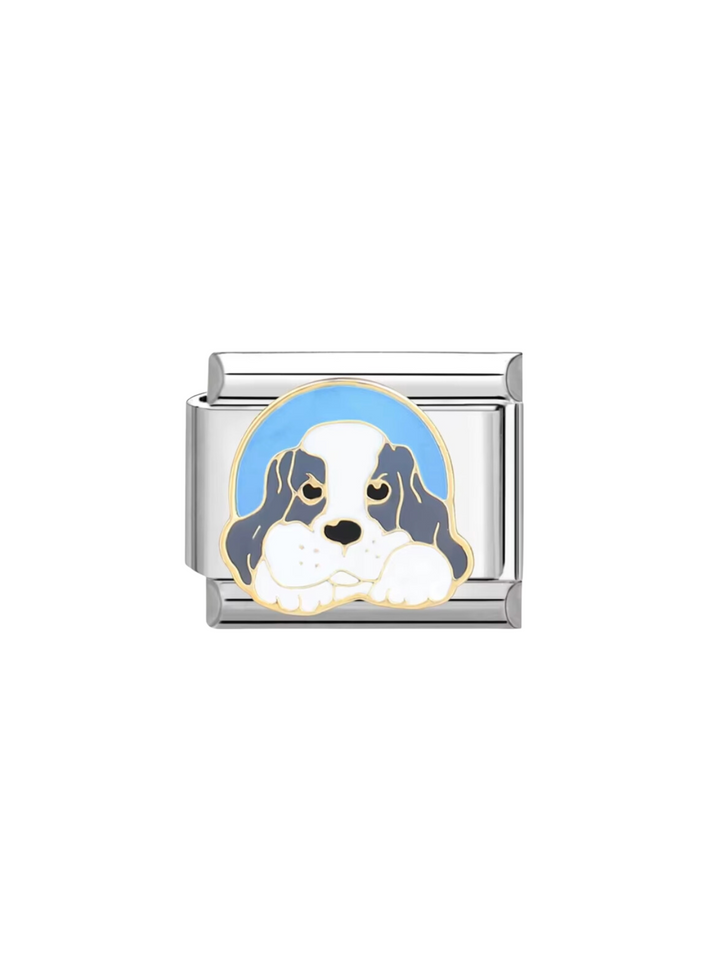 Charm Perro Beagle