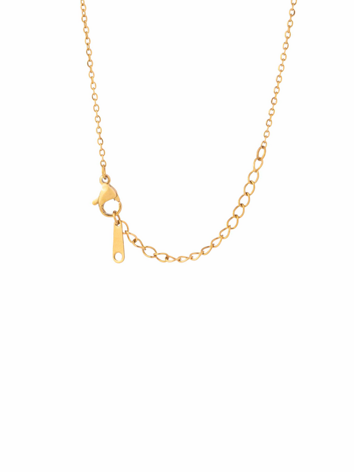 Collar Con Corazon Combinado