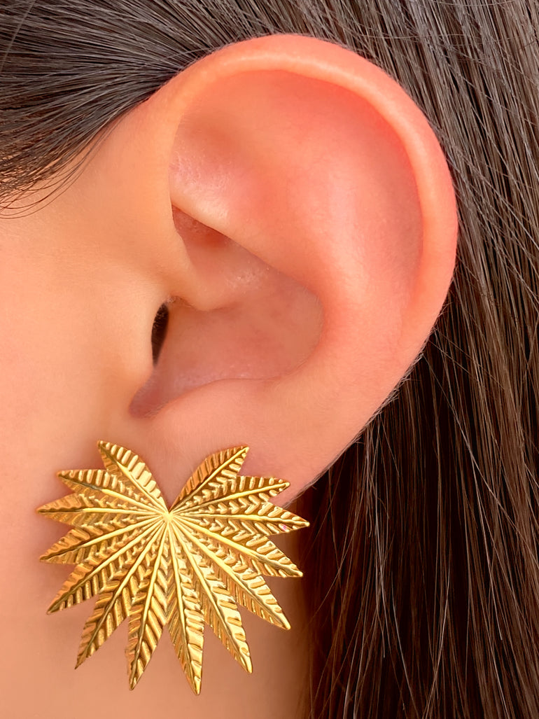 Par Arete Hojas Con Textura