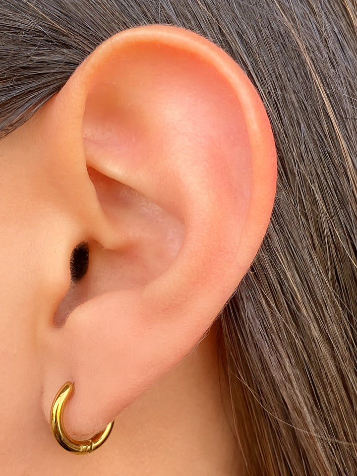 Par Arracada Con Perrito Zirconias 2 en 1