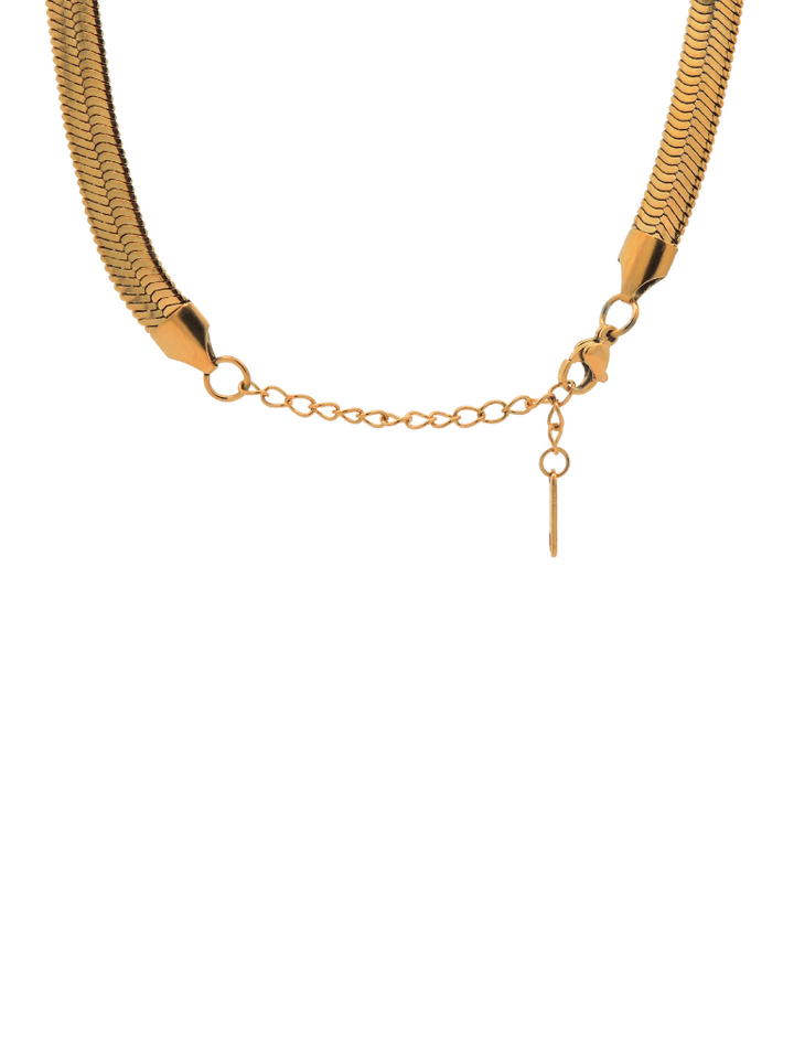 Collar Planchado 7 mm