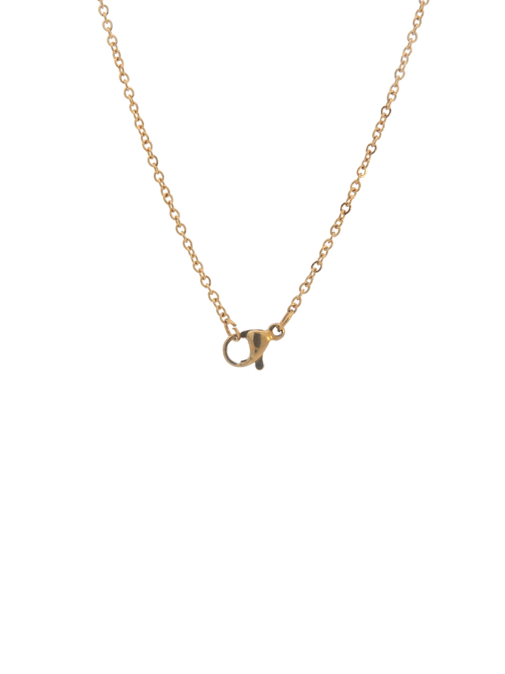 Collar Con Corazon Inicial