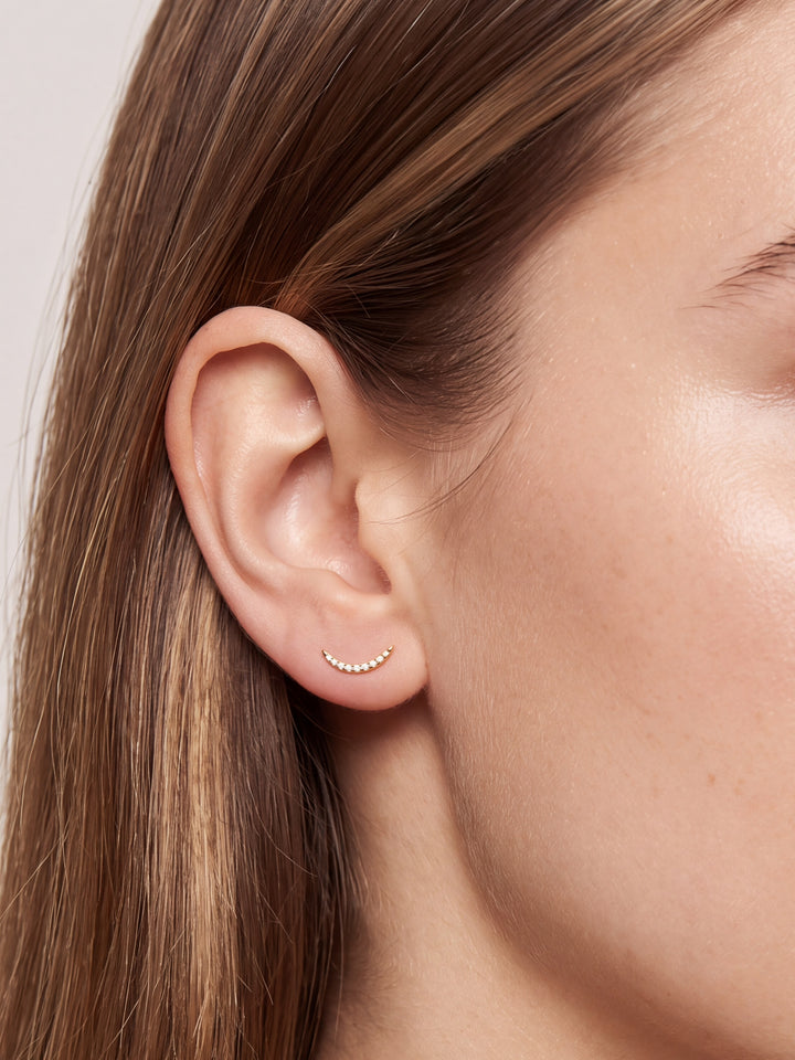 Arete Curva Delgada Zirconias Primera Perforacion Titanio