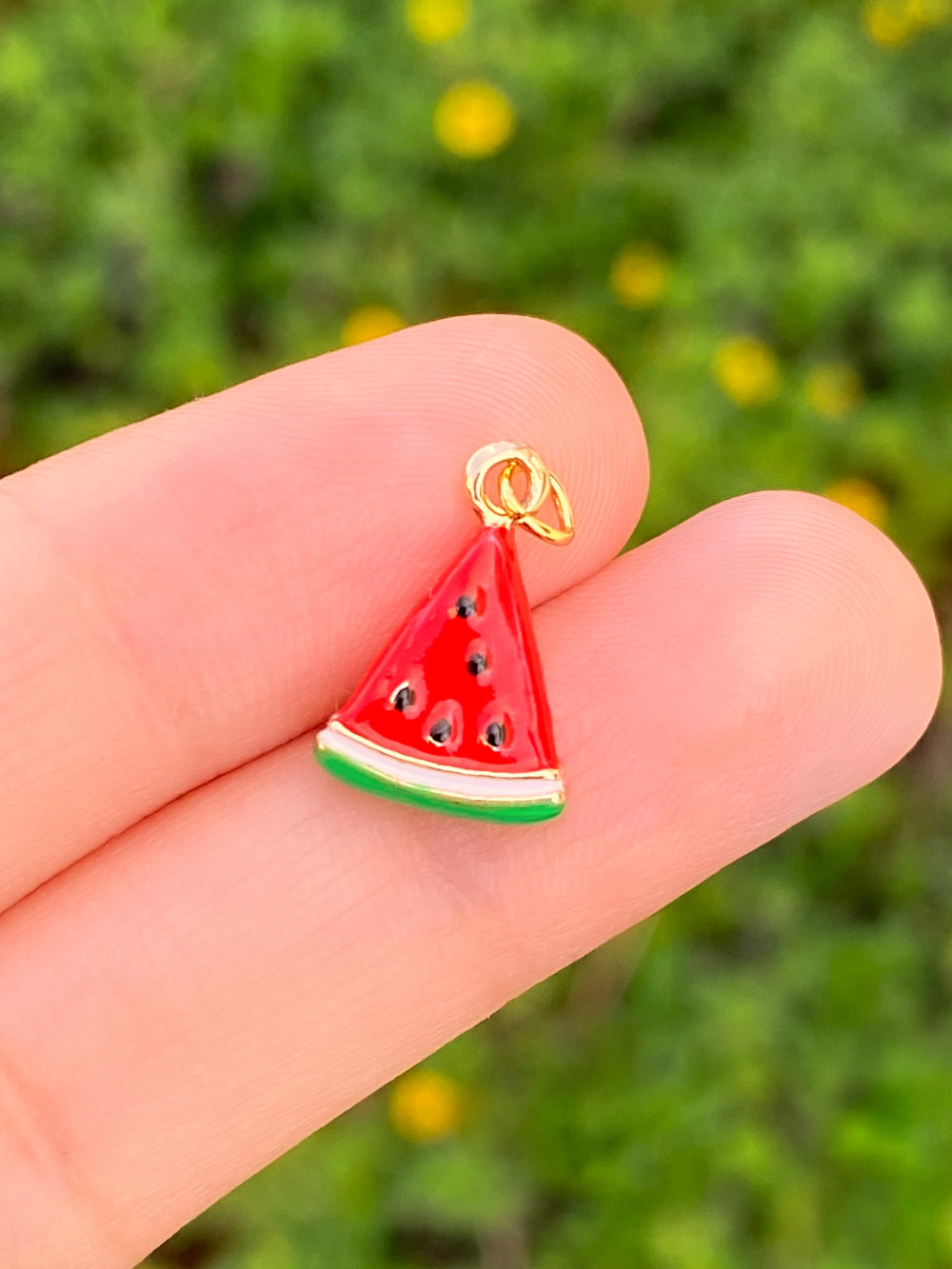Dije Sandia Roja