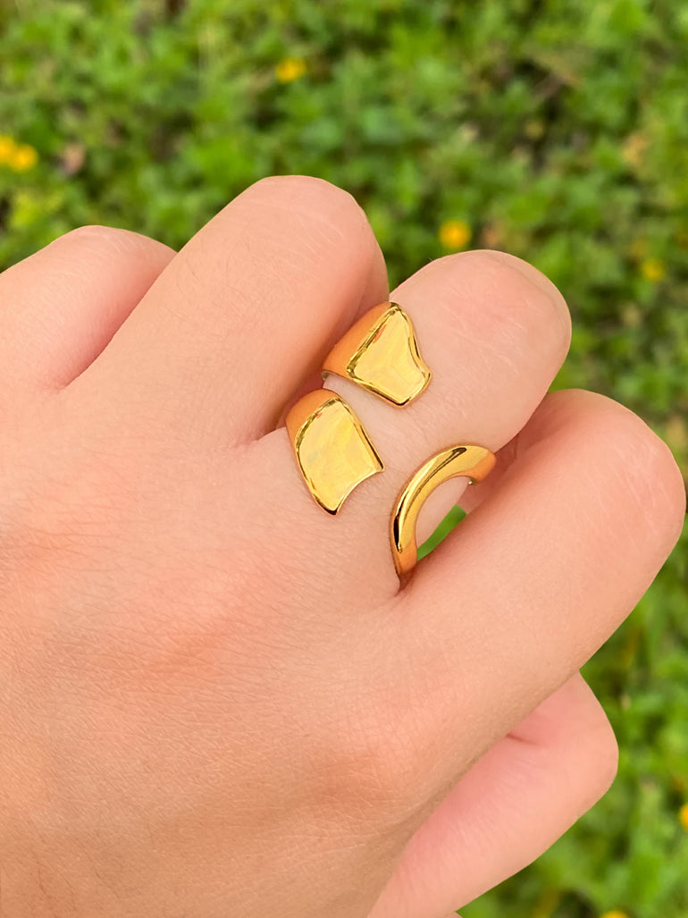 Anillo Doble Linea Irregular Abierto