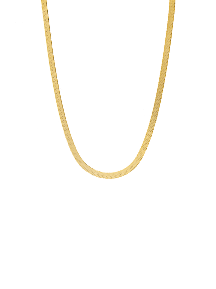 Collar Planchado Delgado 2.5 mm