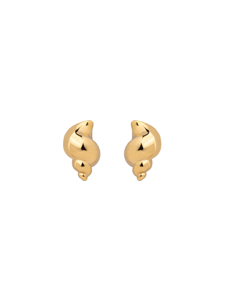 Par Arete Torcido Chunky