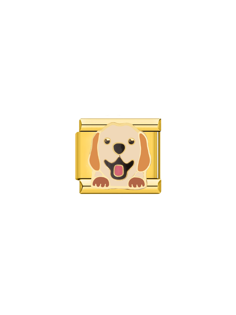 Charm Perro Golden