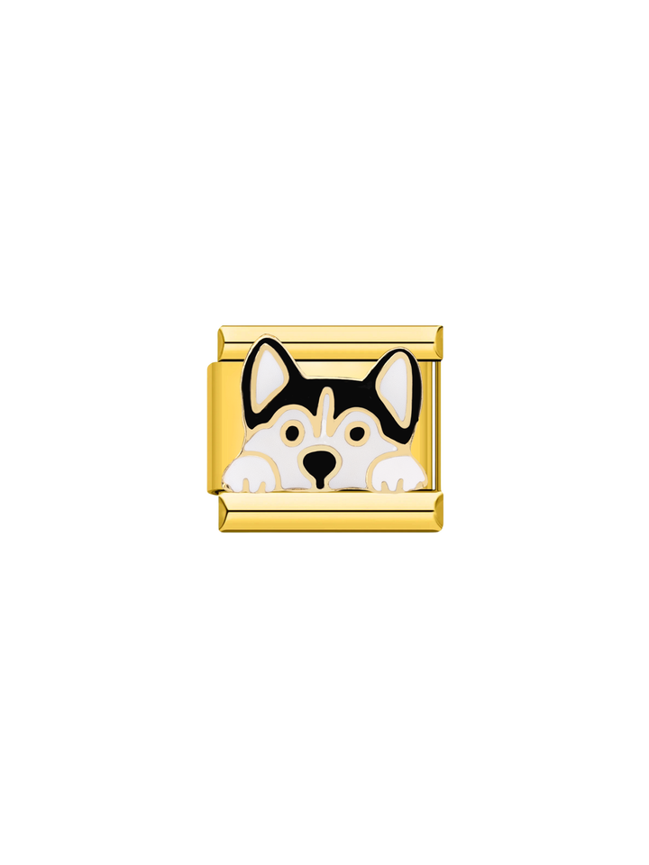 Charm Perro Husky