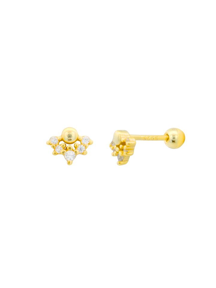Broquel Zirconias Plata