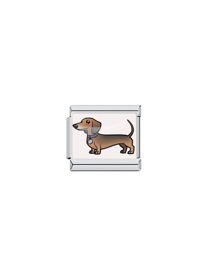 Charm Perro Salchicha