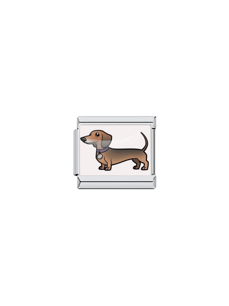 Charm Perro Salchicha