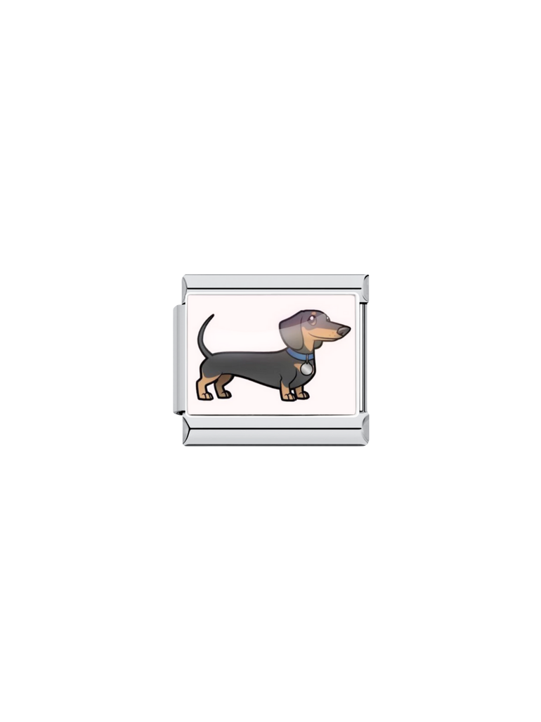 Charm Perro Salchicha