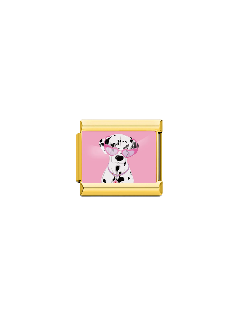 Charm Perro Dalmata Con Lentes