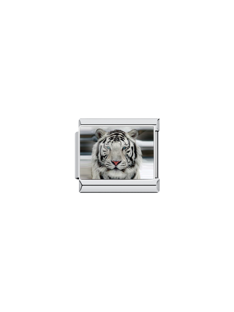 Charm Tigre Blanco y Negro