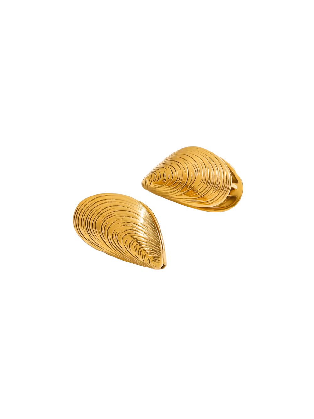 Par Arete Concha De Almeja Chunky