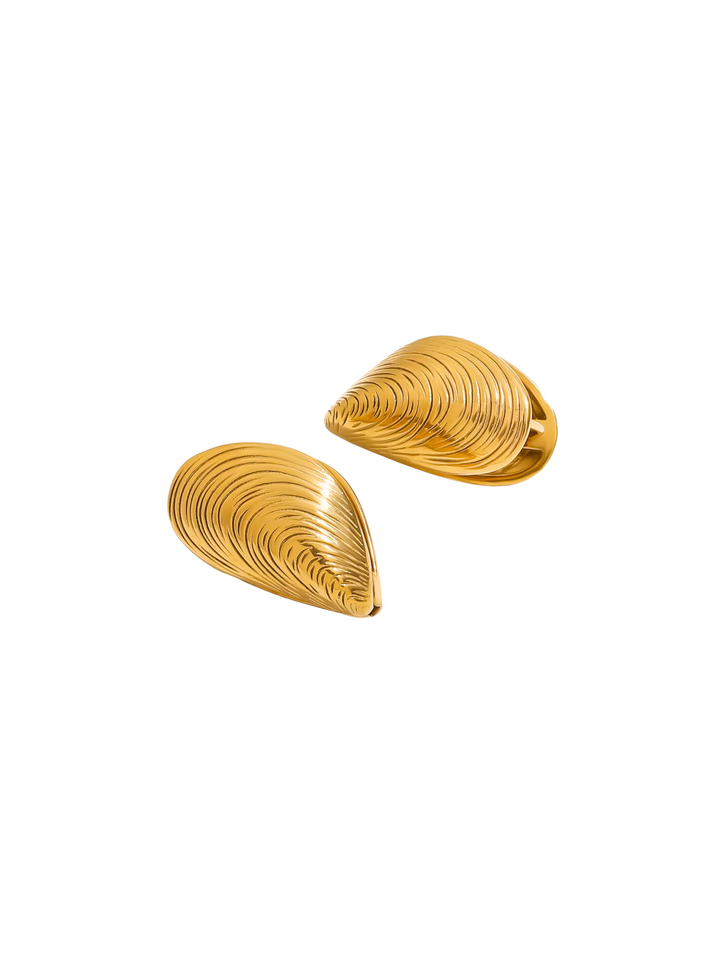 Par Arete Concha De Almeja Chunky