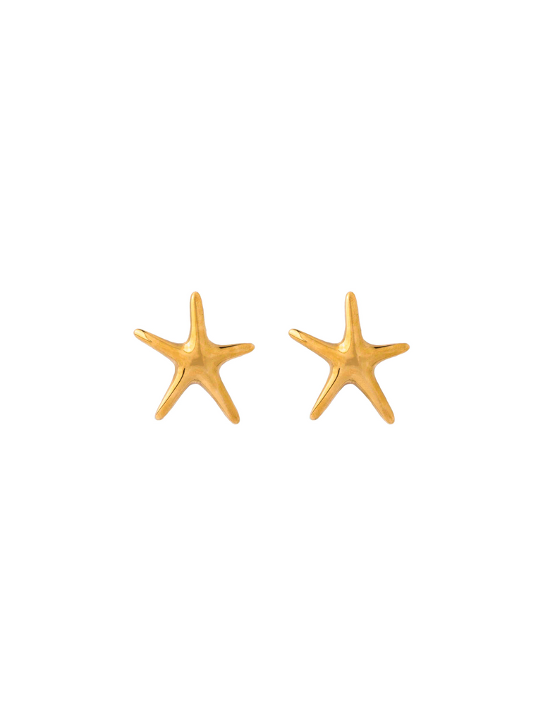 Par Arete Estrella de Mar Delgado
