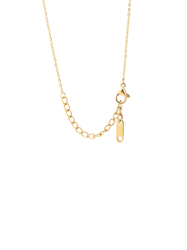 Collar Con Perrito Globo Zirconias