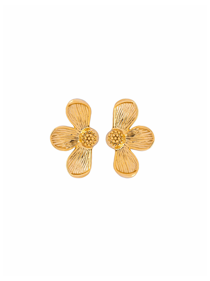 Par Arete Media Flor