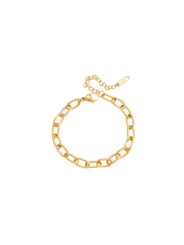 Pulsera Eslabones Tipo Clip Ovalados