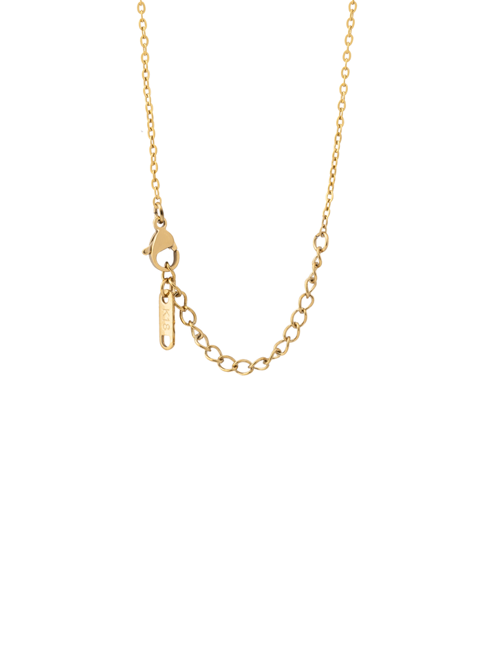 Collar Cadena Delgada