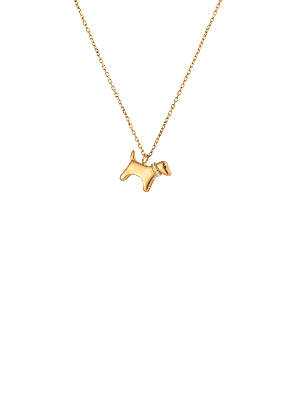 Collar Con Dije Perro